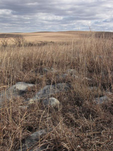 Flint Hills winter scene